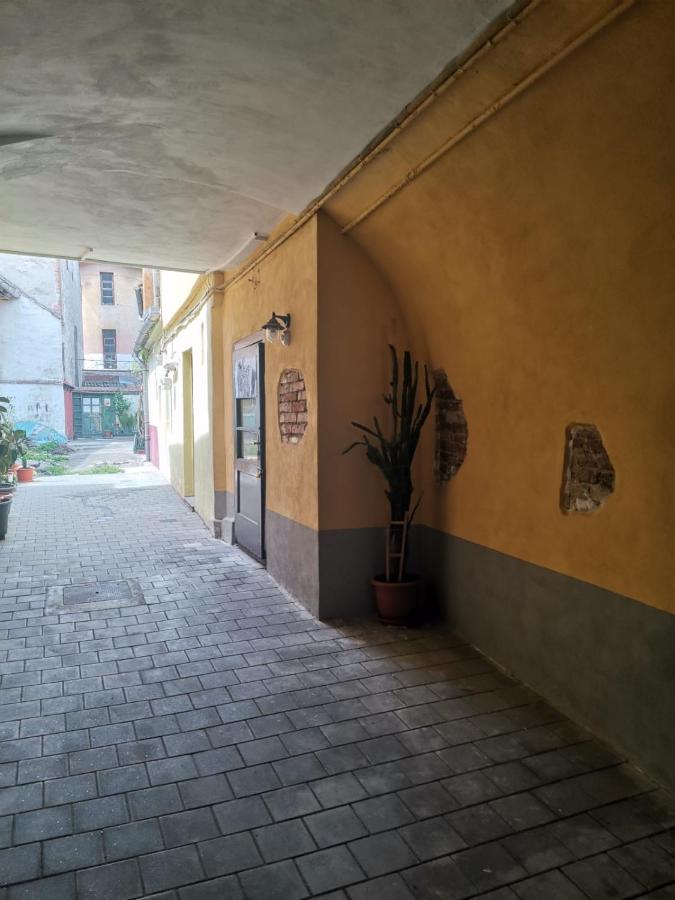 Garsoniera Vivere سيبيو المظهر الخارجي الصورة
