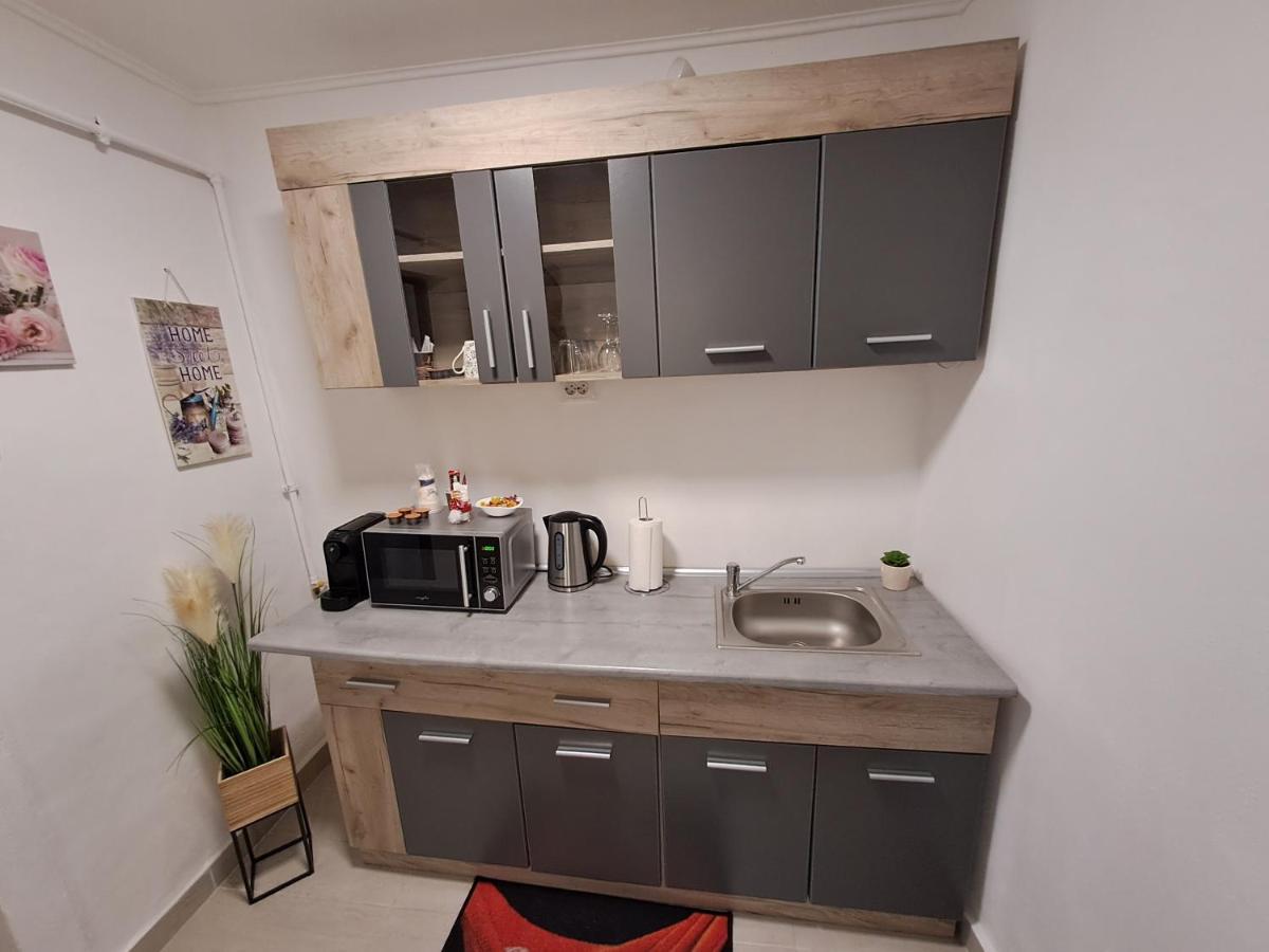 Garsoniera Vivere سيبيو المظهر الخارجي الصورة